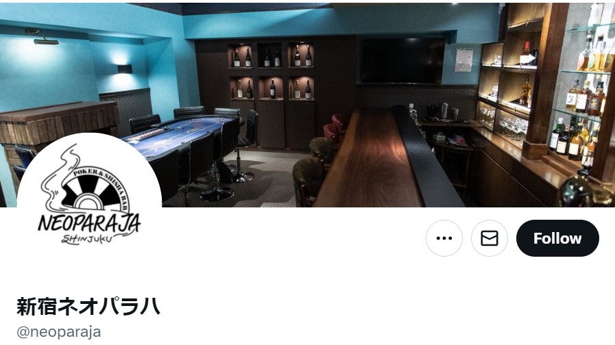 SHINJUKU NEOPARAJA